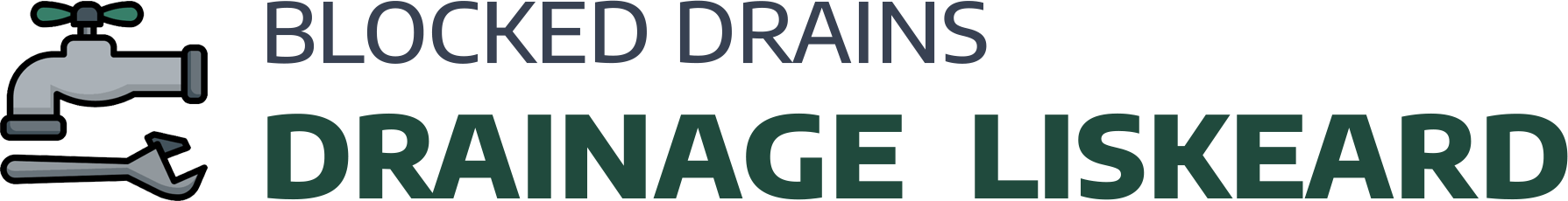 website logo
